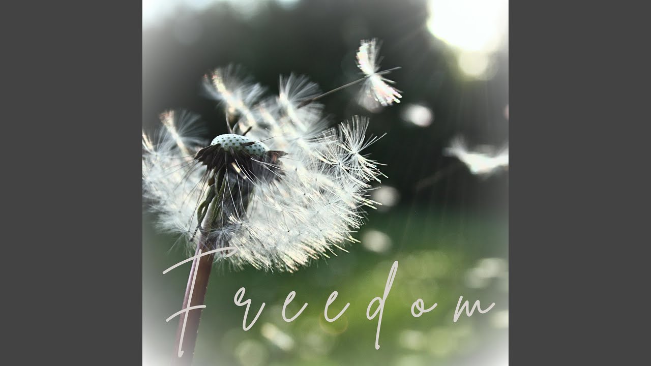 Guarda Freedom su YouTube Guarda Freedom su YouTube