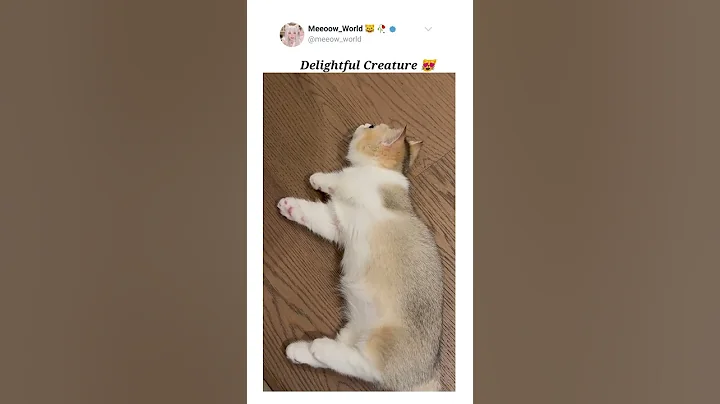 Watch the video about Delightful Creature 😸 #catvideos #cutecats #kitten #cat #cute #catmeow #pets #cutecat