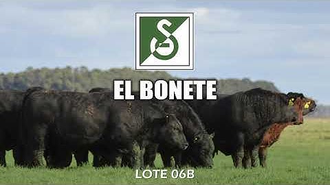 Remate Miramar - Lote 06B