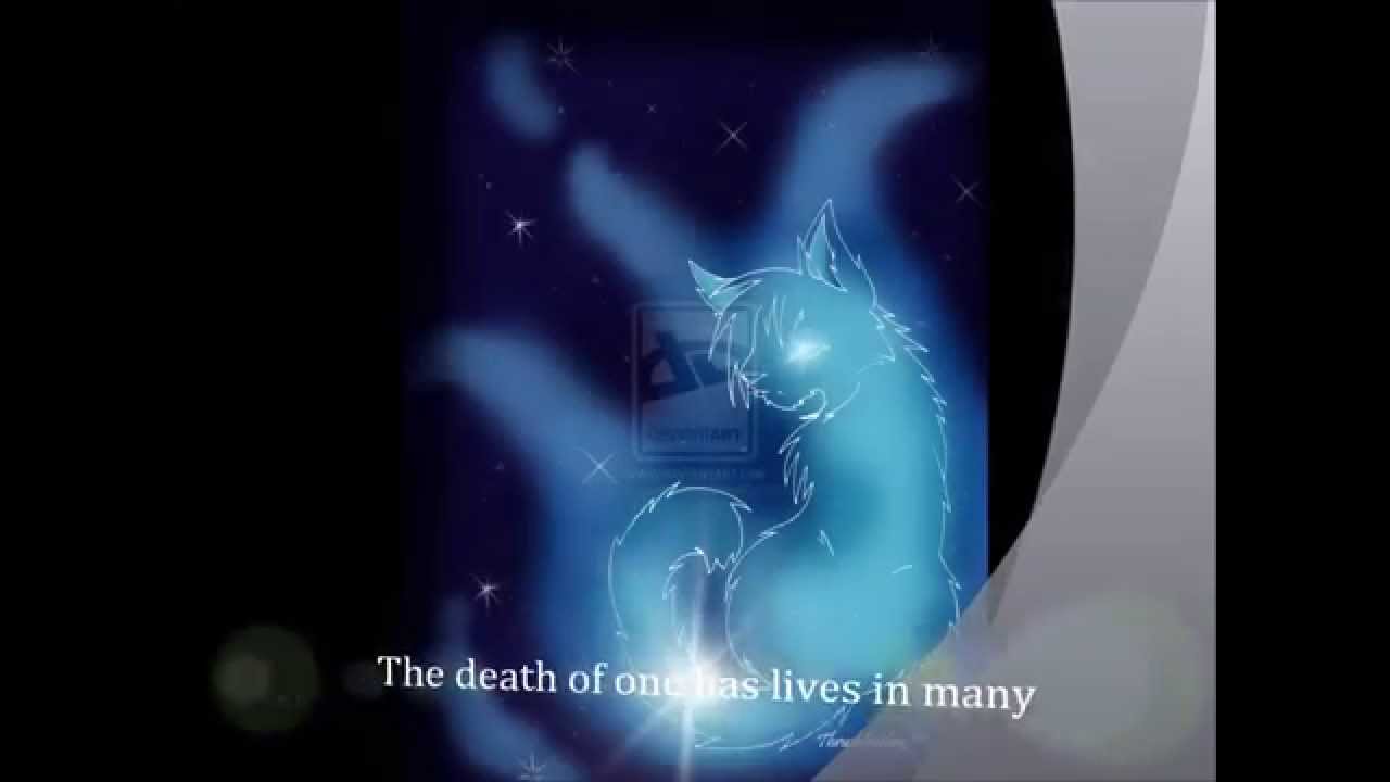 Warrior Cats Movie Preview YouTube