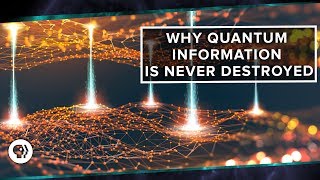 Why Quantum Information is Never Destroyed