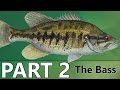 Beginner's Guide to BASS FISHING - Part 2 - The Bass