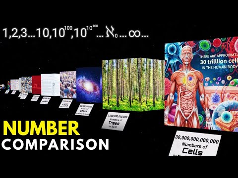 Every Number to Infinity — And Beyond | Ultimate Number Comparison 3D