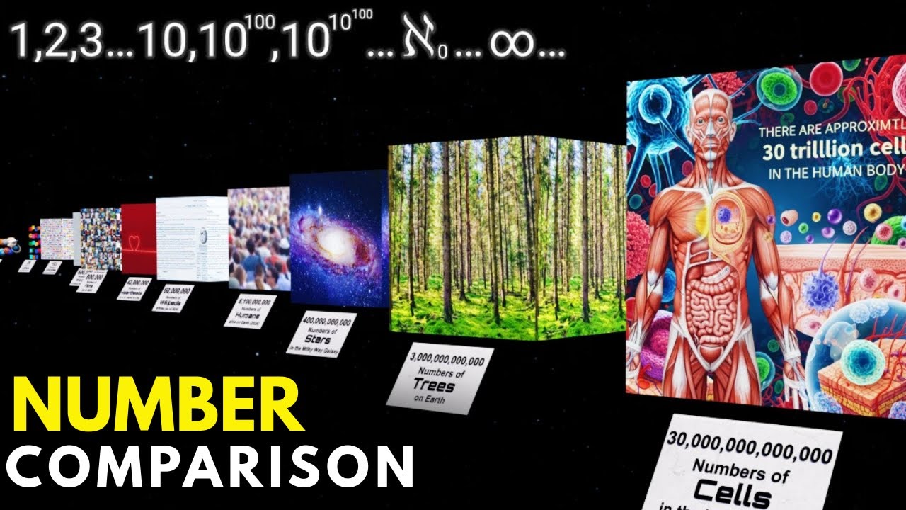 Every Number to Infinity — And Beyond | Ultimate Number Comparison 3D ...