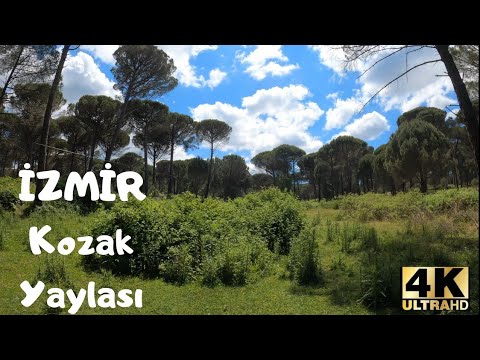 KOZAK YAYLASI // Walking in Amazing Nature Beauty of Izmir BERGAMA [4k UHD] (2021)