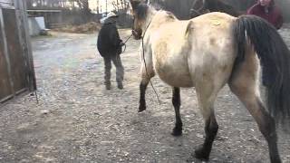 M4V02869.MP4