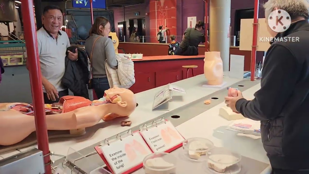 Mùa Thu: 11/10/2025-Agawa Canyon Railway&Algonquin Park Tour 3Days.