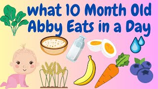 What My 10 Month Old Abby Eats in a Day (Vlog64)