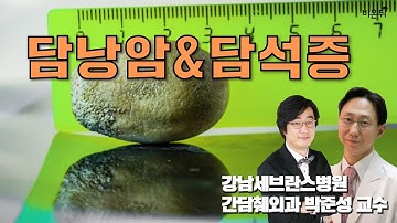 [메디텔] 담낭암과 담석증(박준성 교수&홍혜걸 박사)