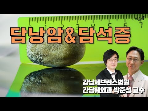 [메디텔] 담낭암과 담석증(박준성 교수&홍혜걸 박사)