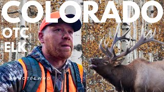 Elk Hunting Colorado!!! [OverTheCounter Tags]