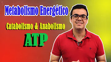 O que é metabolismo como pode ser classificado?