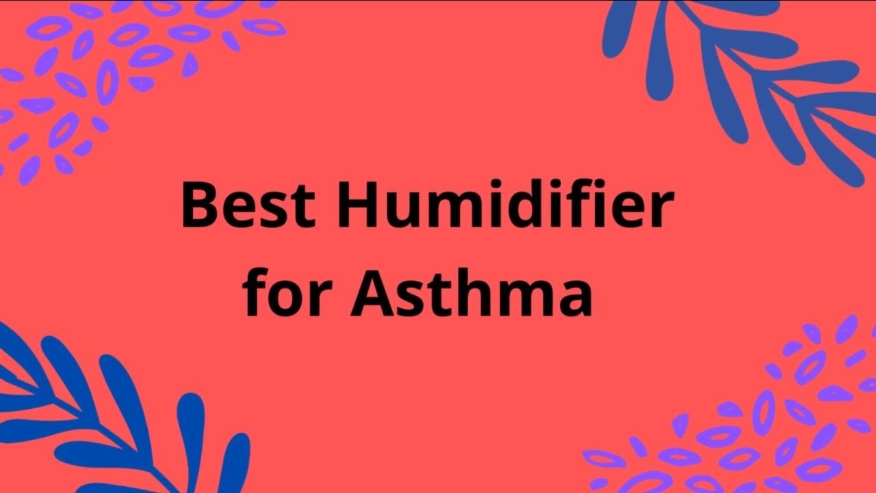 Best Humidifier for Asthma