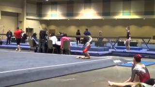Level 7 floor routine - Ravin - 2015 Chows Challenge