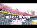 Ngắm hoa Đào nở đầu mùa- TP Okazaki-Japan