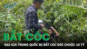 Đại gia người Trung Quốc bị đồng hương bắt cóc đòi chuộc 10 tỷ ở TP.HCM  | SKĐS