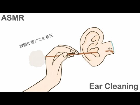 【ASMR】鼓膜に音圧を与える鼓膜ごりごり耳かき Ear Cleaning 【No Talking】