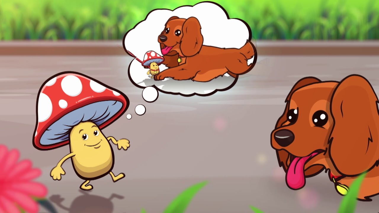 SAMPIOENTJIE - KLEIN KROONTJIES