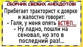 Как тракторист доярку упрашивал! Сборник свежих анекдотов! Юмор!