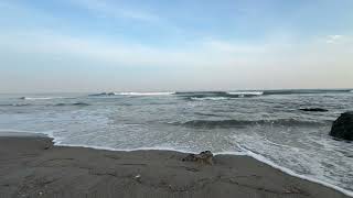 IMG 0668
