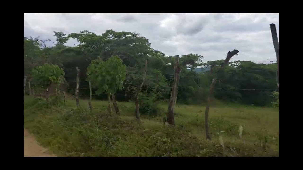 @PASSEIO NOS SÍTIOS PONTES BONITA E JABOTICABA DO ALTINHO-PE