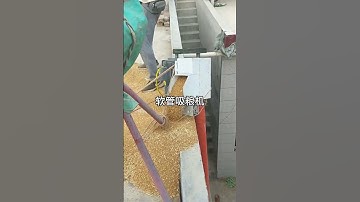 Flexible Grain Auger