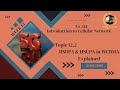 Cs314 Short lecture|Cs314 Lecture 12 topic 12.2|HSDPA & HSUPA in WCDMA Explained | 2025 Guide