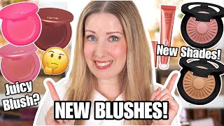 Watch BEFORE You Buy These NEW BLUSHES! 😬