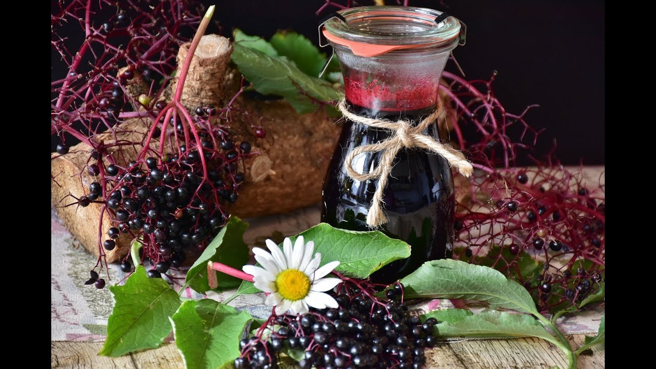 Sambuco: salsa per insalata o arrosto. - YouTube