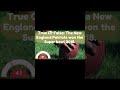 NFL 49ers Questions And Answers | American Football