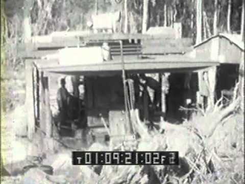 Cypress Logging in Louisiana circa 1925 (Part 1 of 2)