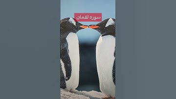 سوره لقمان هذا خلق الله #اكسبلور #food #reel