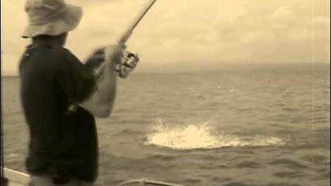 PELAGIC FEVER - (alternative mix) - Trailer by Antonio Varcasia & Videospin Reality Fishing 2006