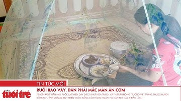 Ruồi bao vây, dân phải mắc màn ăn cơm