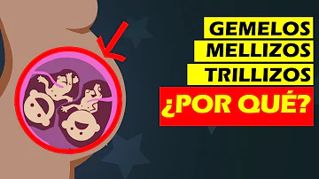 ¿Se conciben gemelos al mismo tiempo?