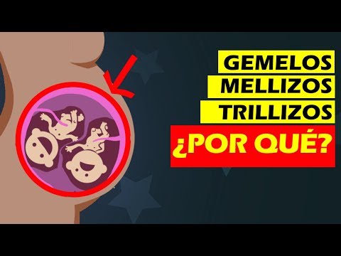 Vídeo: Diferencia Entre Gemelos Monocigóticos Y Dicigóticos