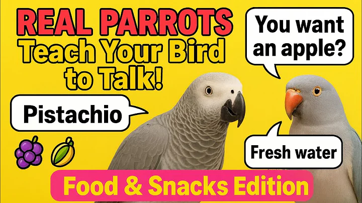 Real Parrots Teach Your Bird to Talk! Food & Snacks! African Grey Ringneck& Other Parrots Training 