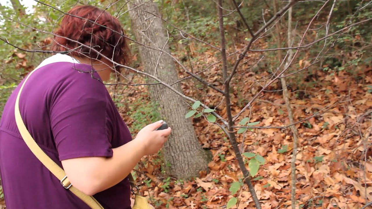 Geocaching Documentary