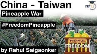 China Taiwan War over Pineapples - Taiwan starts #FreedomPineapple campaign over China's import ban screenshot 4