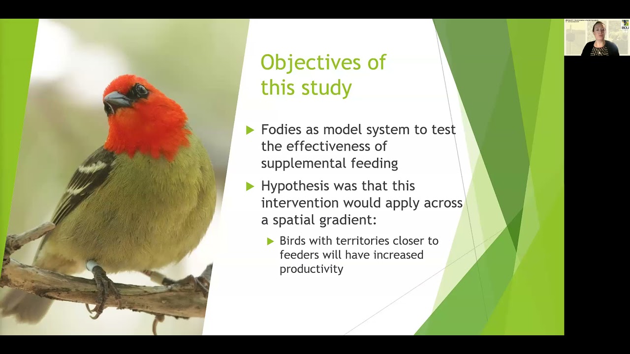 BOUsci21 Testing the effectiveness of conservation interventions - Theresa Robinson