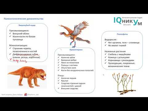 Доказательства эволюции в ЕГЭ по биологии (гомологичные и аналогичные органы и др.)