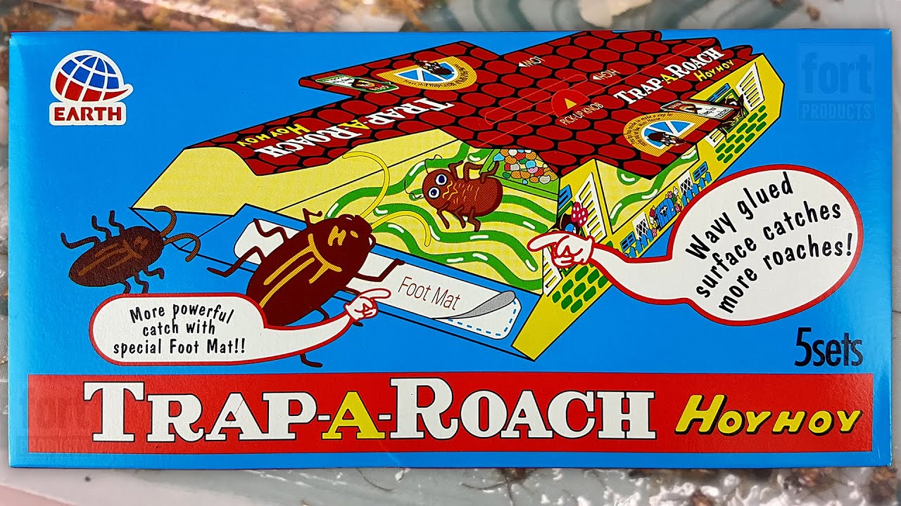 HoyHoy Trap-A-Roach Introduction Video