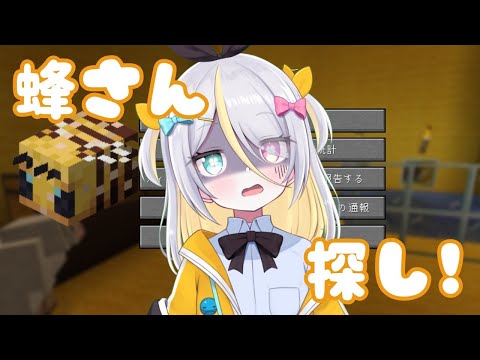 【Minecraft】スクリーンショットを諦めました。泣【蜂蜜ぷりん/ぶいぱい】 video thumb