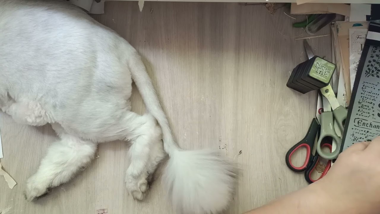 Unpaking my birthday gift!!! 🥳