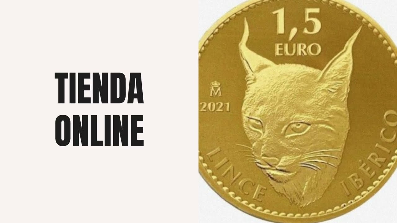 La aplicación del IVA en las monedas y lingotes de oro y plata en Europa