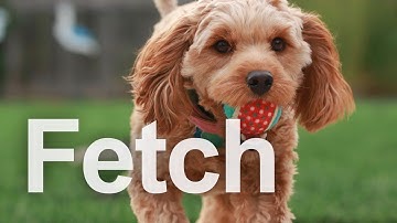 왜 fetch 함수는 프라미스를 두 번 사용할까?  자바스크립트 fetch 사용법 | HTTP Fetch #1