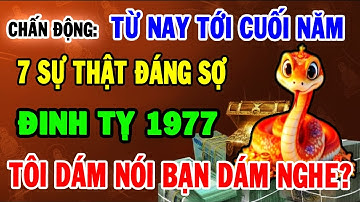 Chấn động! Sự Thật Đáng Sợ: Đinh Tỵ 1977 cuối năm 2025, 7 cảnh báo đáng sợ chỉ mình tôi dám nói.