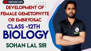 Development Of Female Gemetophyte Or Embryosac || Class-12th || Biology || Sohan Lal