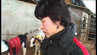 인간극장 - Screening Humanity 20080204 #003
