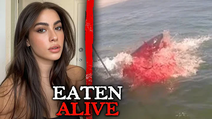 Kara Jensen Went Surfing and Became This Shark's Lunch